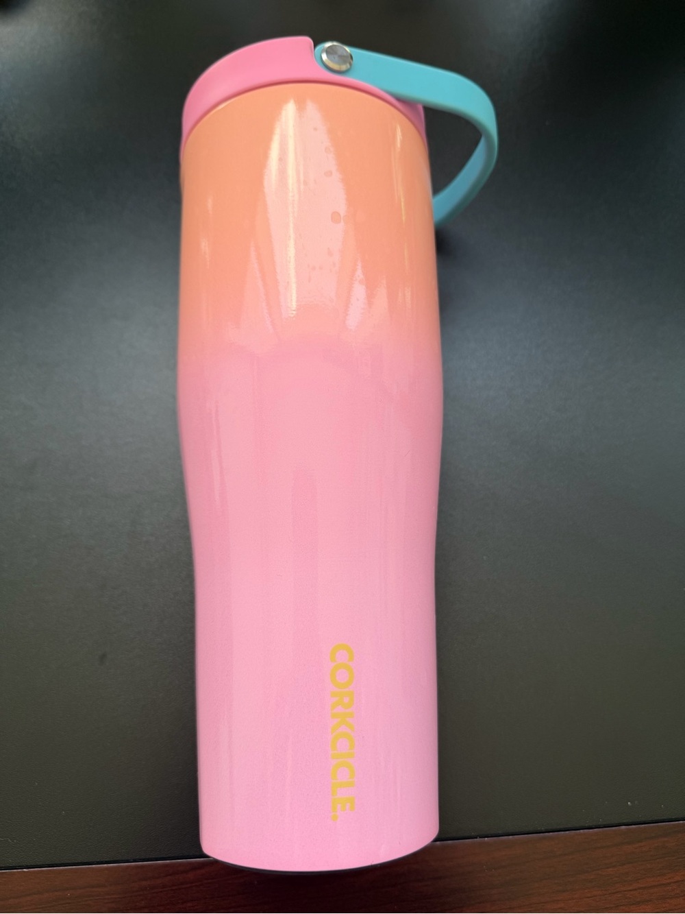 NWOT Corkcicle Go Cup XL Lover 30oz Leakproof Water Bottle Tumbler Gradient
